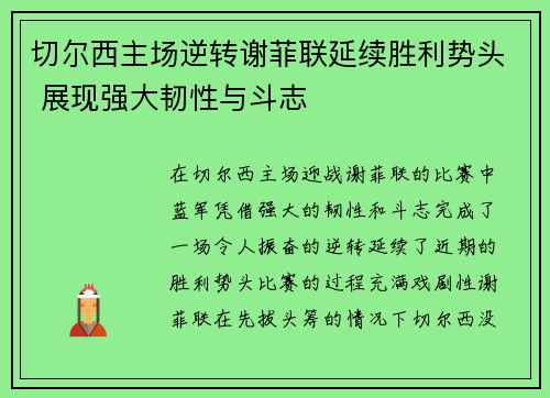 切尔西主场逆转谢菲联延续胜利势头 展现强大韧性与斗志